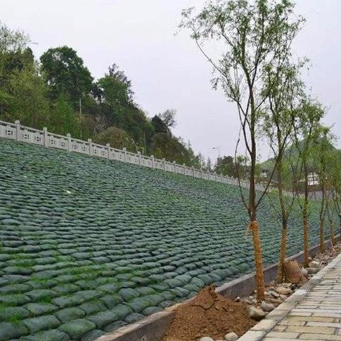 生態(tài)袋